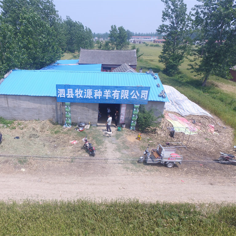 泗县牧原种羊有限公司